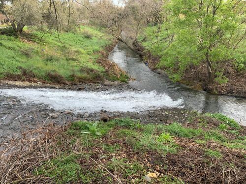 American River creek.